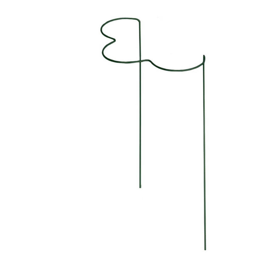 Plantensteunen Geschulpt - 80 x 40 cm