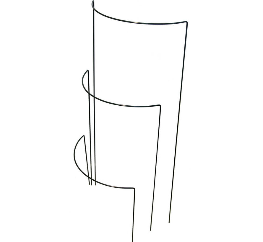 Plantensteun Halfrond - 70 x 40 cm