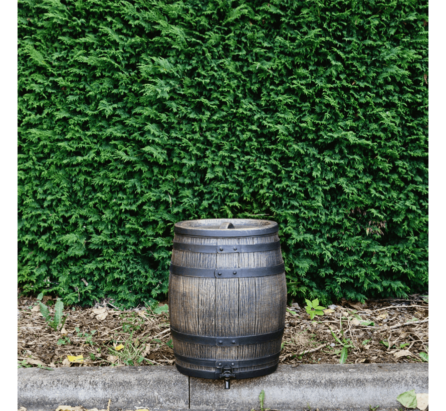 Regentonset Roto 50 liter + voet + vulautomaat