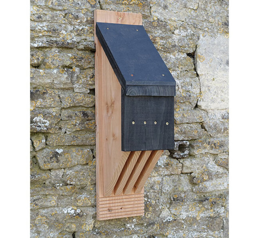 Vleermuiskast - Professioneel Vincent