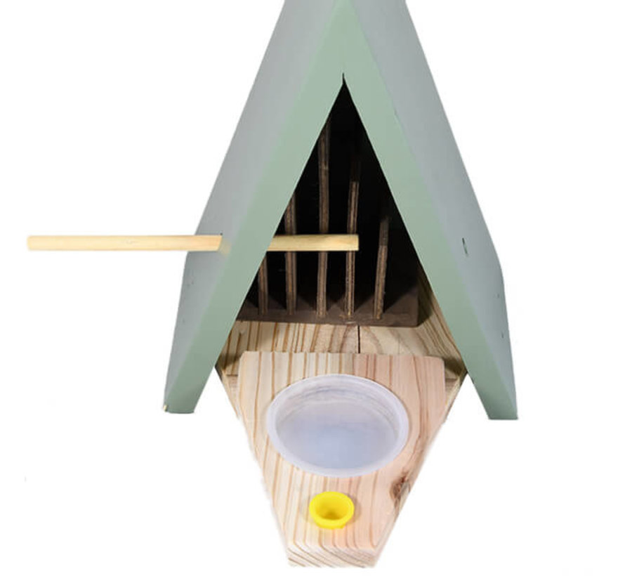 Vlinderhuis met instructieboekje en zaadjes