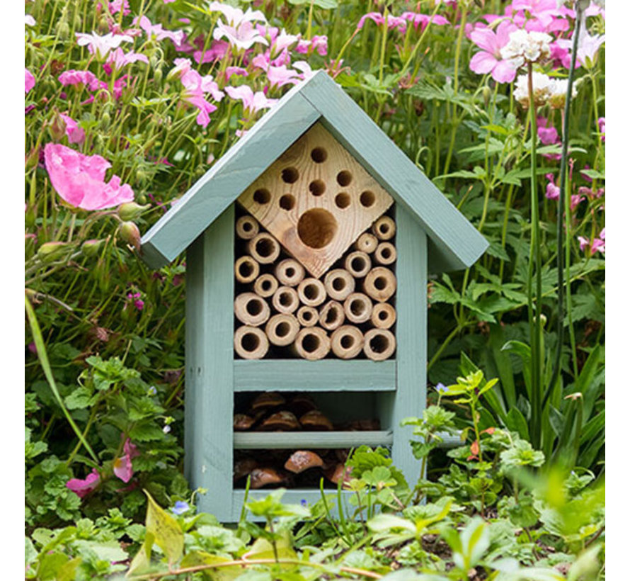 Bijen en insectenhuis - Biome