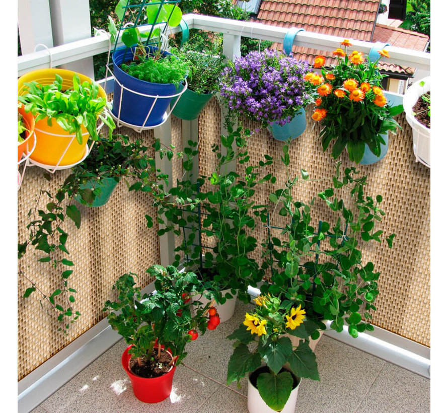 Balkonscherm - Rietkleurig kunststof