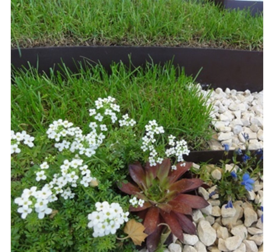 Kantopsluiting - Staal - 5 stuks - 100 cm