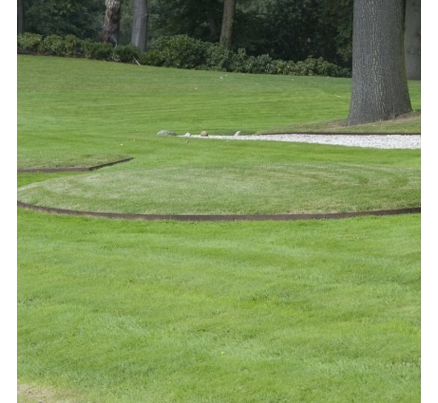 Kantopsluiting - Staal - 5 stuks - 100 cm