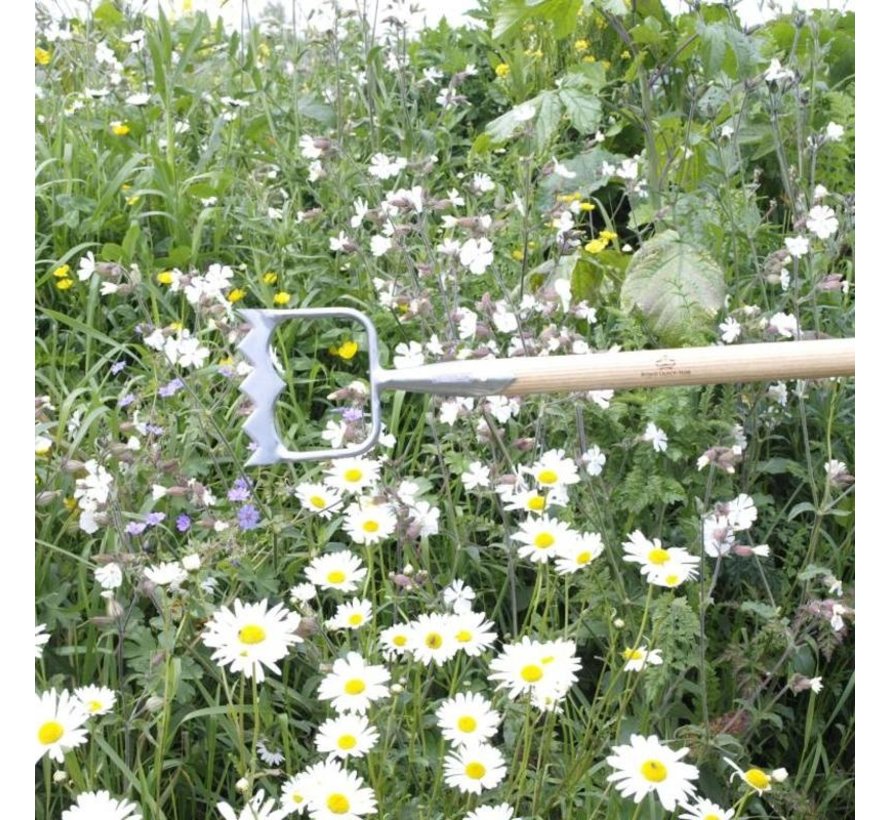 Kroonschoffel - D-model