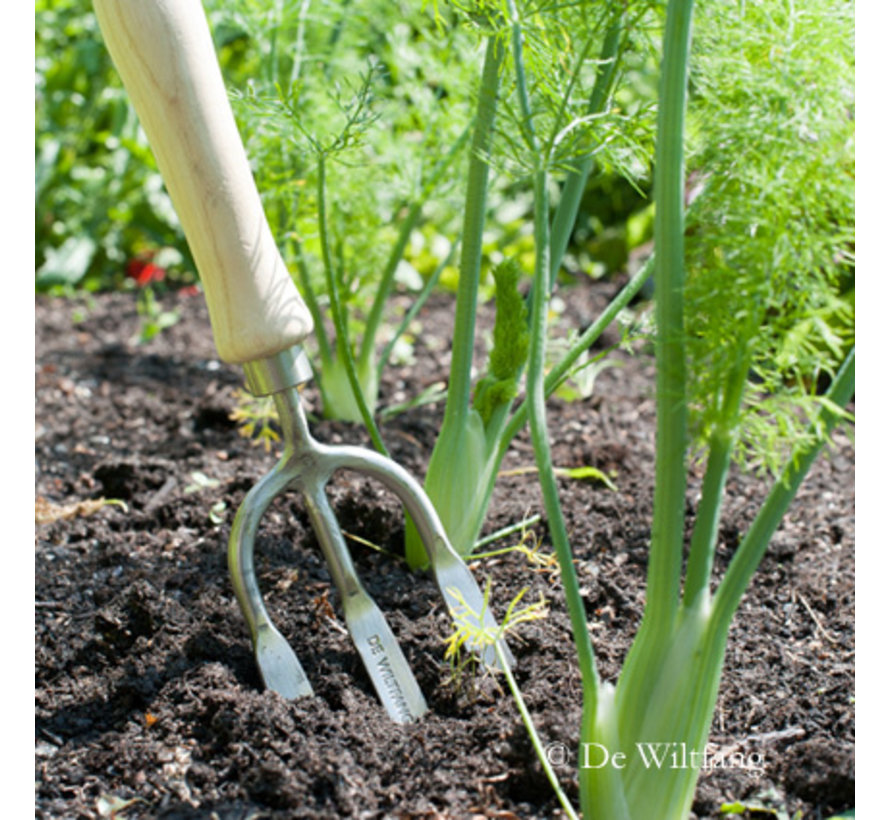 Handrooivorkje - 3 Tanden