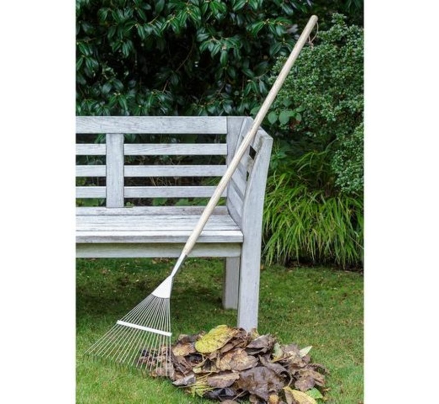 Bladhark / Grashark - RHS