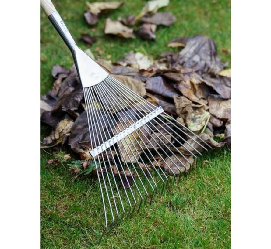 Bladhark / Grashark - RHS