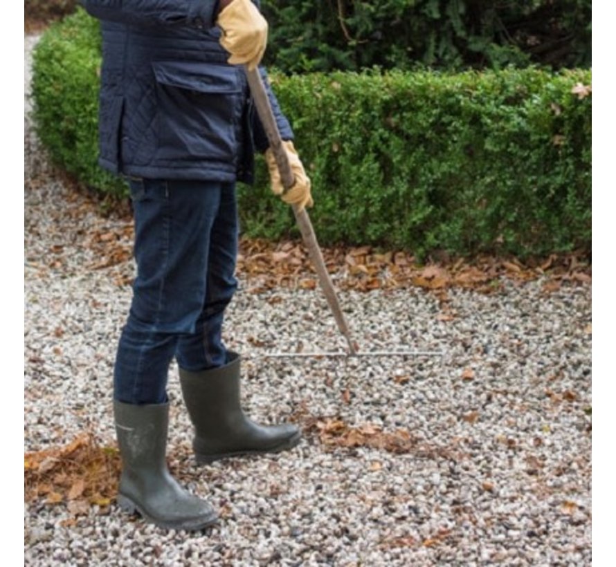 Grindhark - 14 tanden