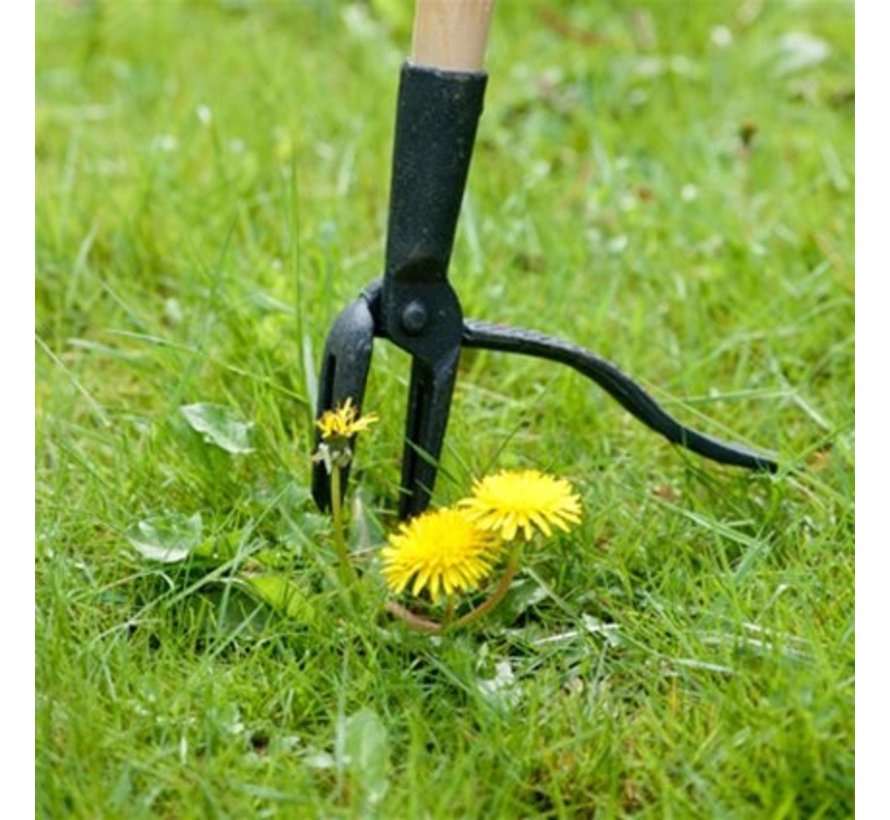 Penworteltrekker