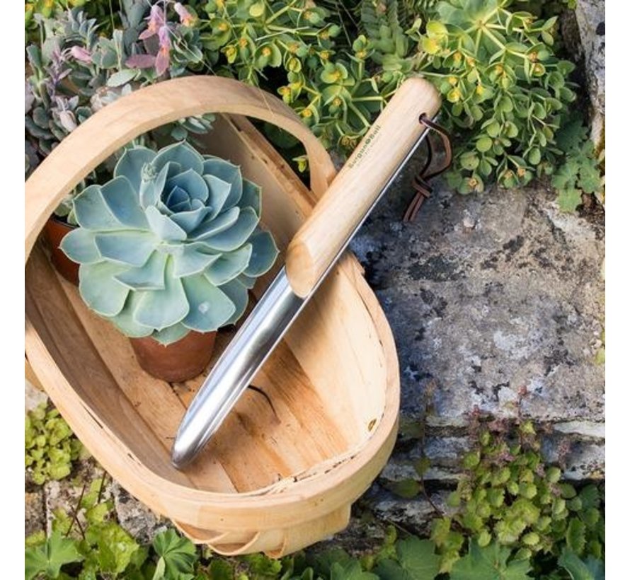 Penwortelschepje - RHS