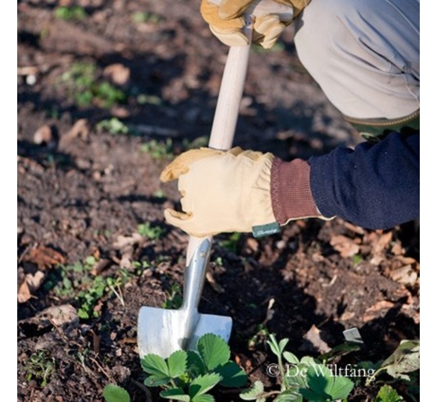 Plantgraafje met steel