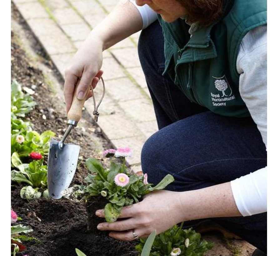 Verplantcshopje - RHS