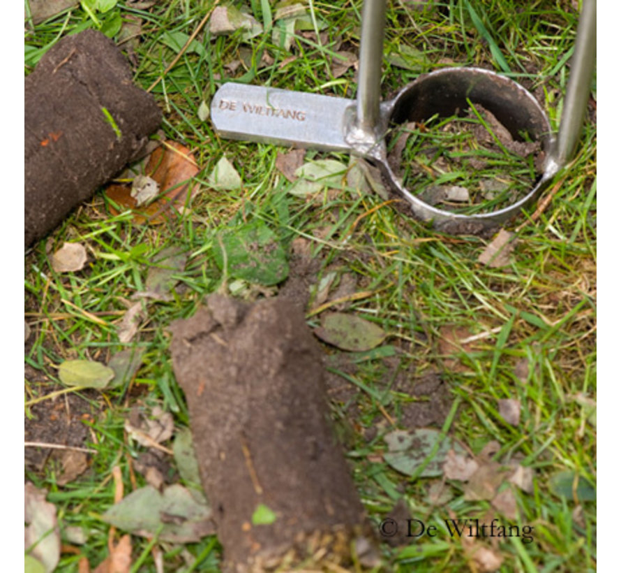 Bollenpriem - Plantgat ø 10 cm