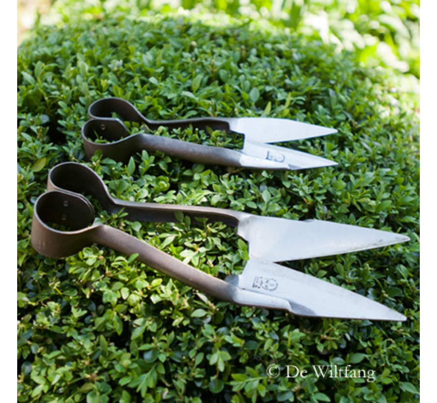 Buxusschaar - Klein