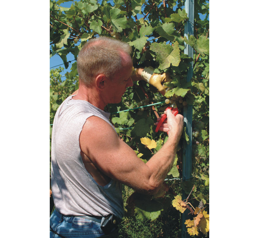 Felco 310 fruitschaar