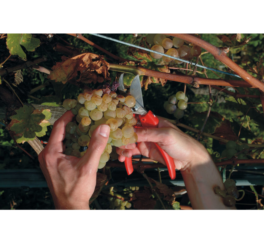 Felco 300 snoeischaar