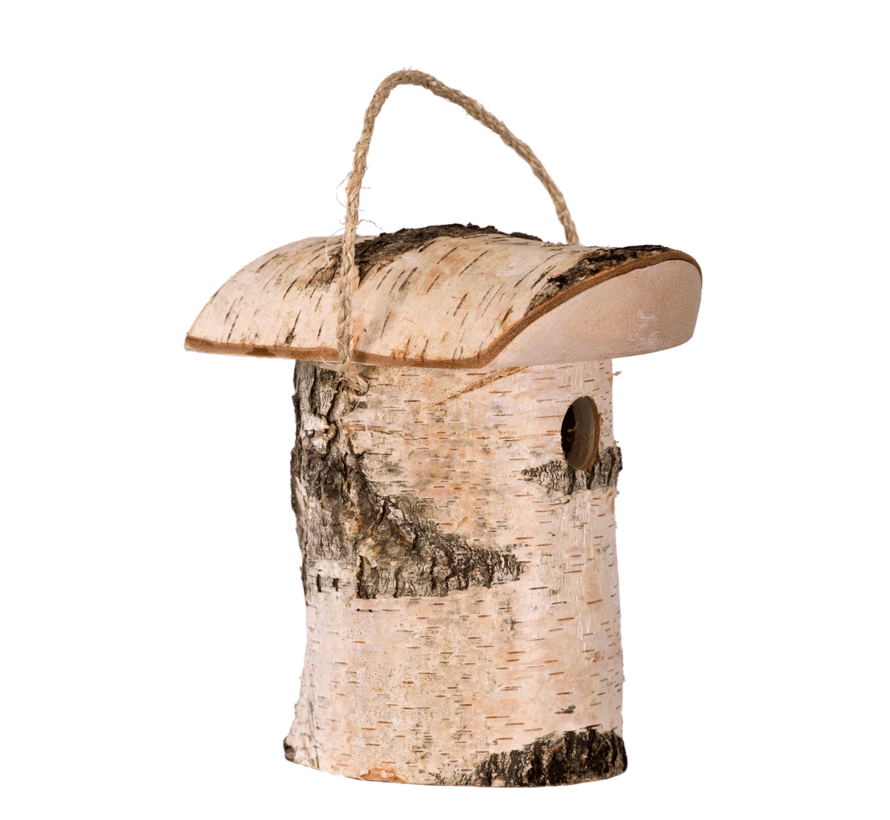 Vogelhuis Berk Klein