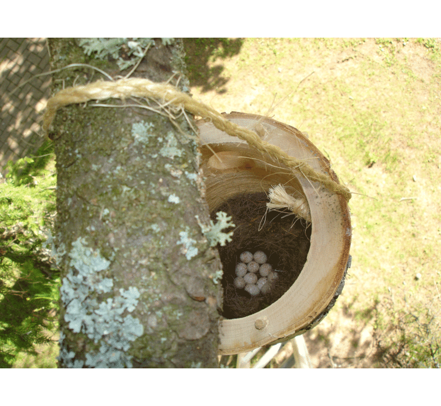 Vogelhuis Berk Klein