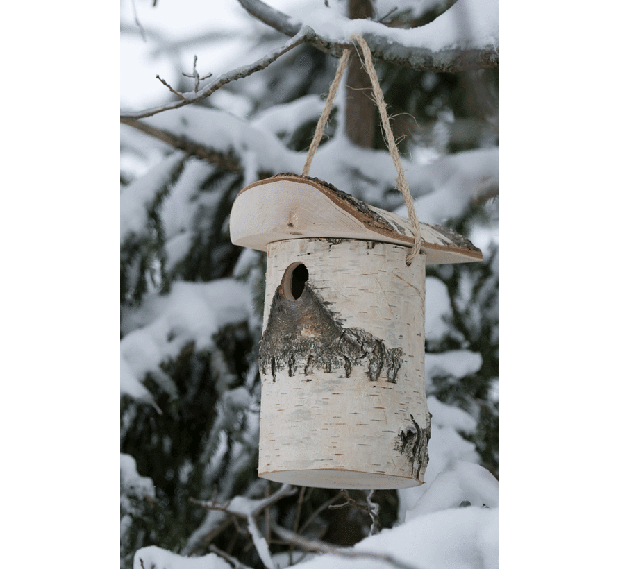 Vogelhuis Berk Klein