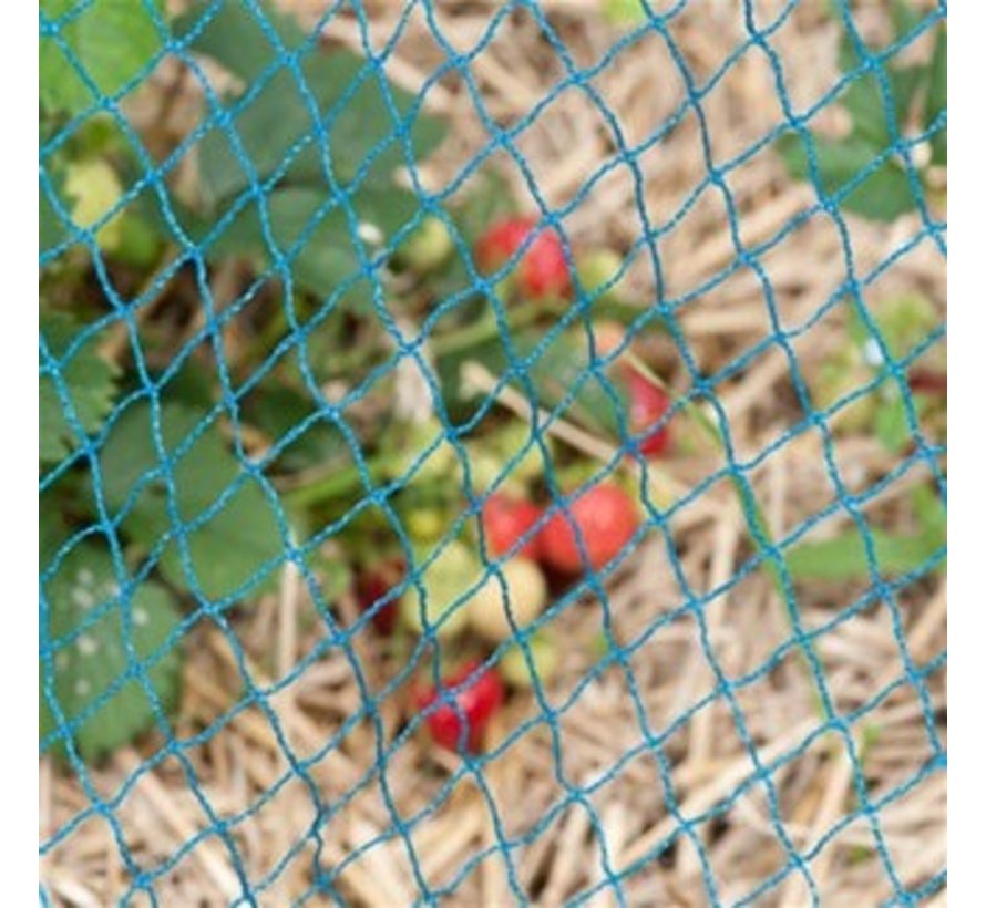 Vogelnet - Blauw