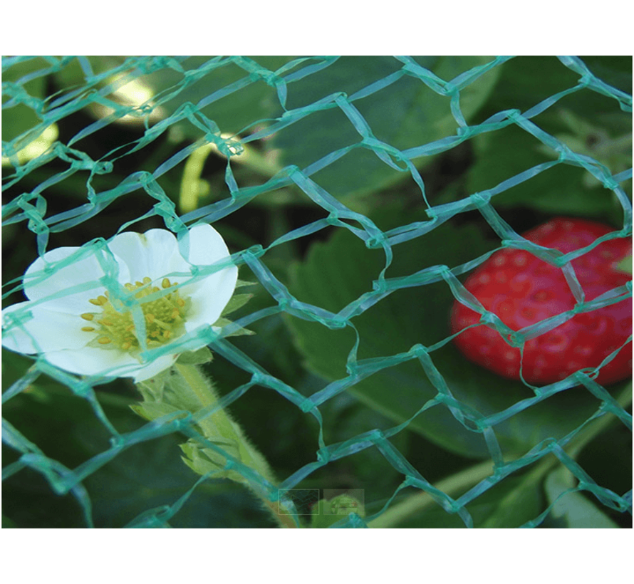 Vogelnet - Tuinnet - 5 x 10 meter