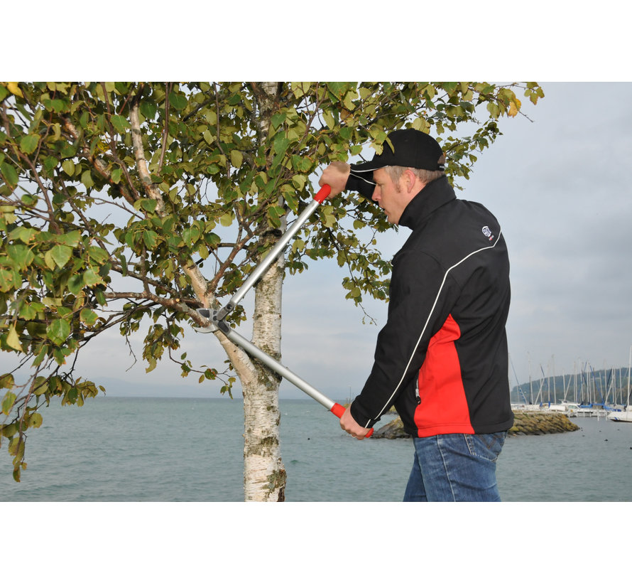 Felco 231 - Takkenschaar