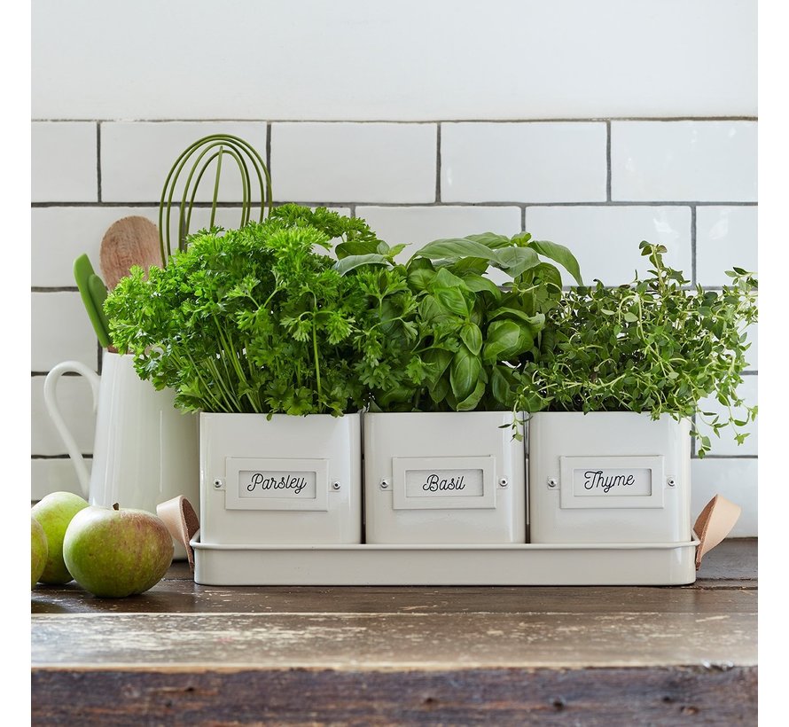 Kruidenpotjes - Vierkant op tray - Crème