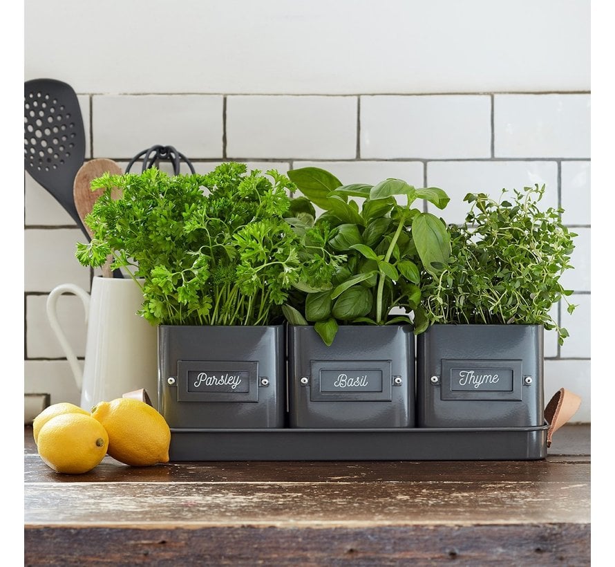 Kruidenpotjes - Vierkant op tray - Koolzwart