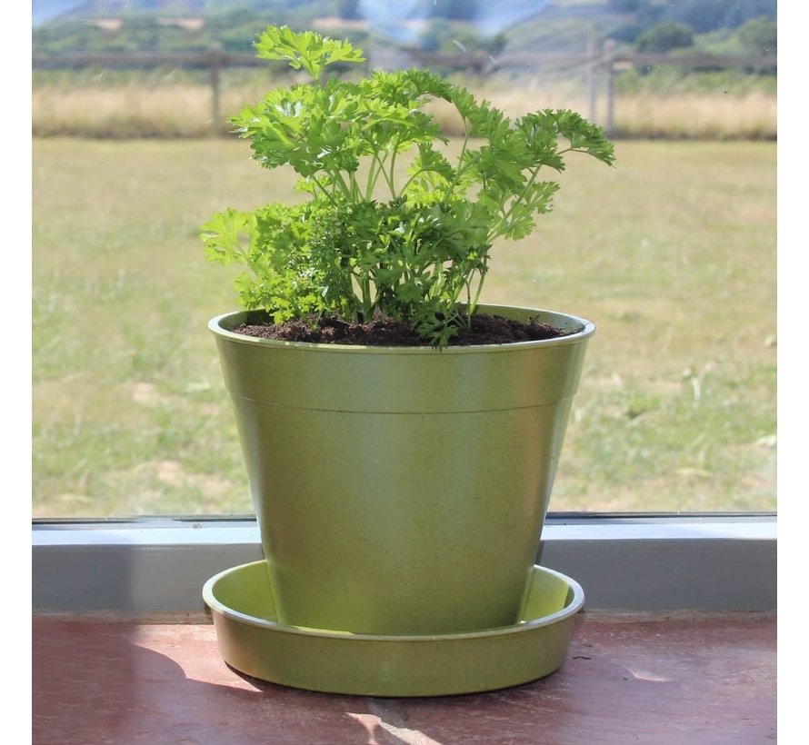 Bamboe bloempot - XXL - 20 cm