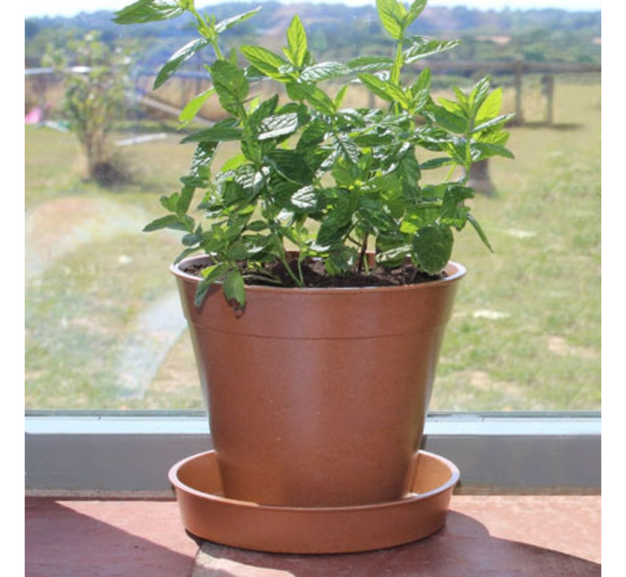Bamboe bloempot - XXL - 20 cm