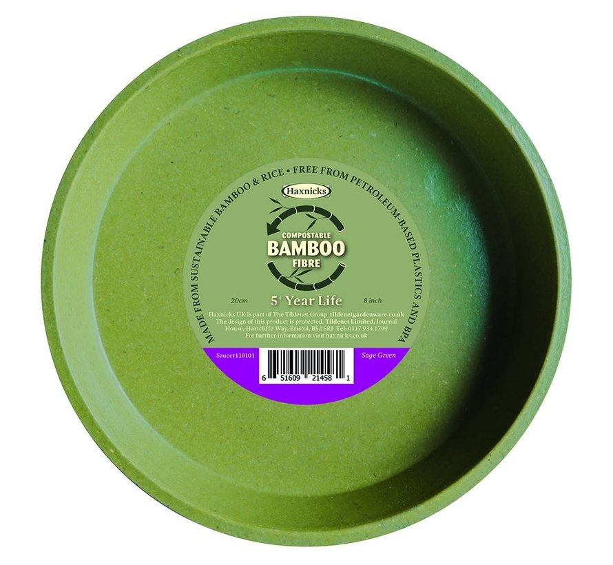 Bloempot Bamboe schotel - XXL - 20 cm