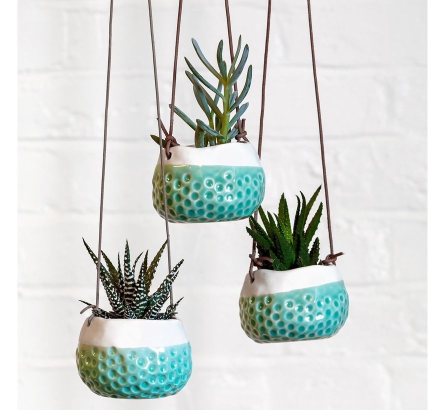 Hangpot - Baby Dotty