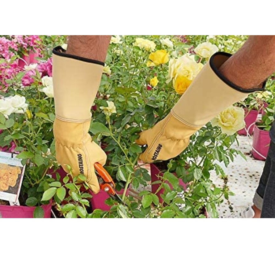 Rozenhandschoenen - Lang Manchet