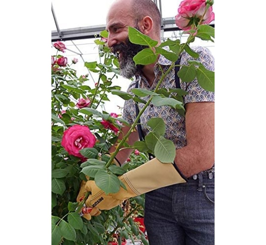 Rozenhandschoenen - Lang Manchet