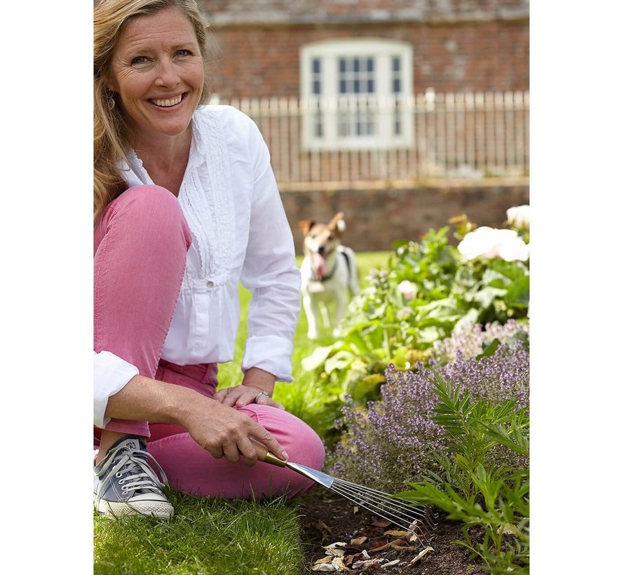 Bladhark - Sophie Conran - RVS