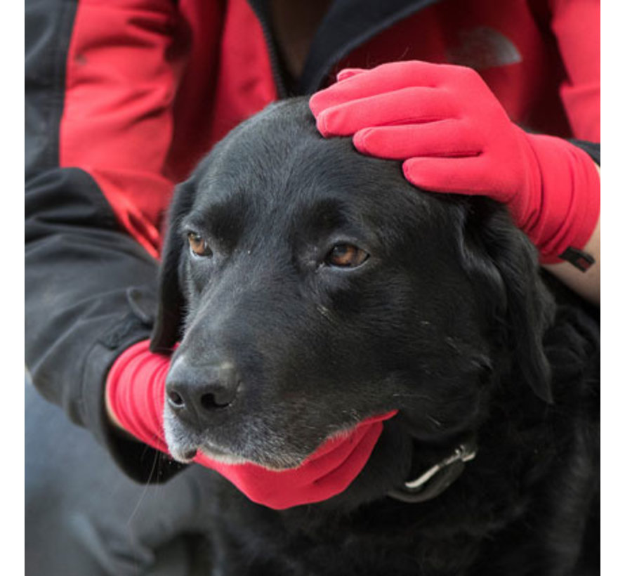 Foxgloves - Tuinhandschoenen - Rood