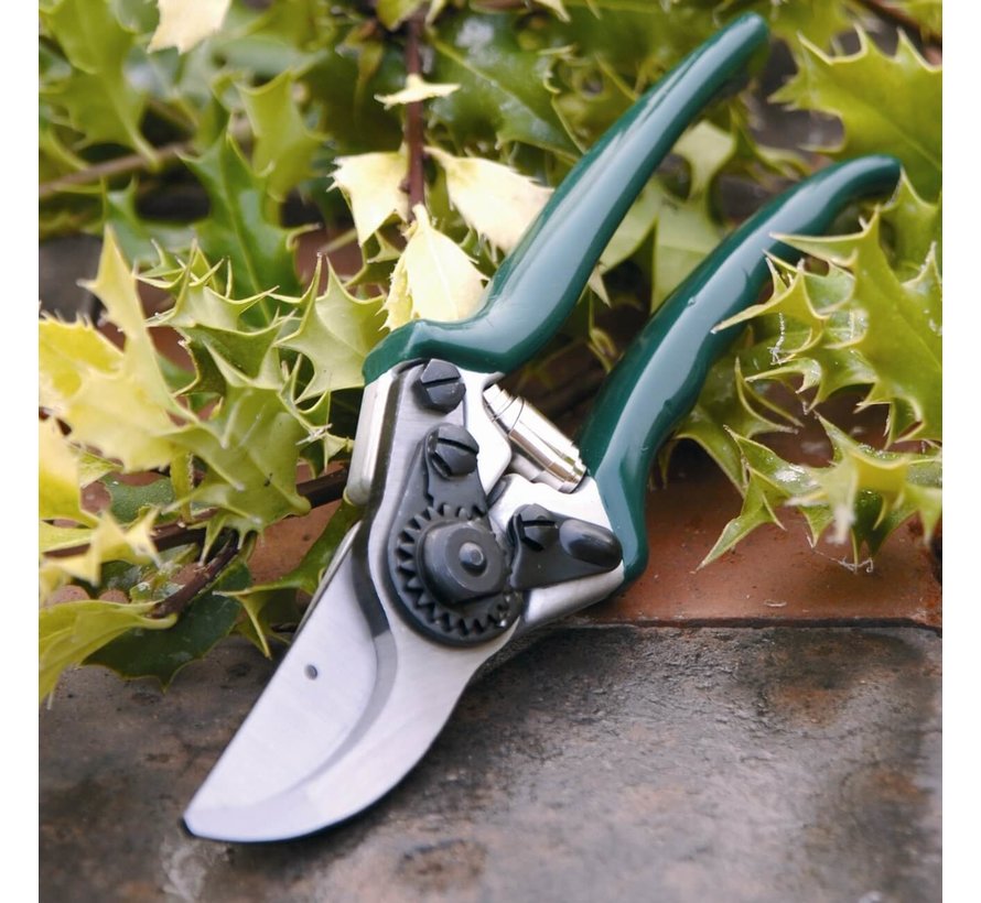 Snoeischaar voor kleine handen - RHS