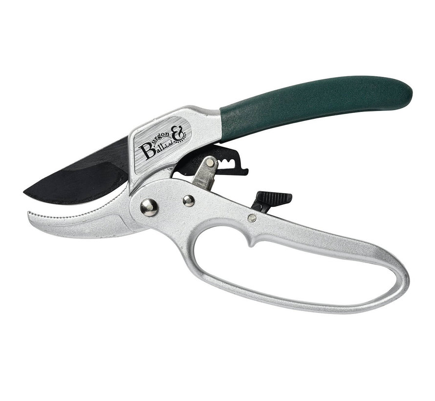 Hefboom Snoeischaar - RHS