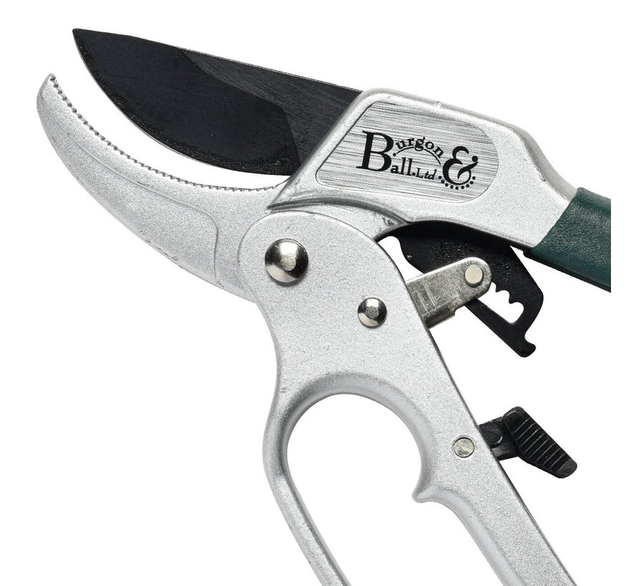 Hefboom Snoeischaar - RHS