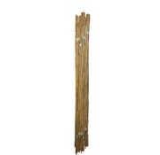 Meuwissen Agro Bamboestokken 60 cm - 10 stuks