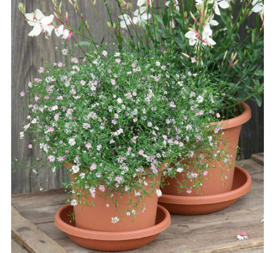 Bloempot CYLINDRO ø 50 cm - Terracotta