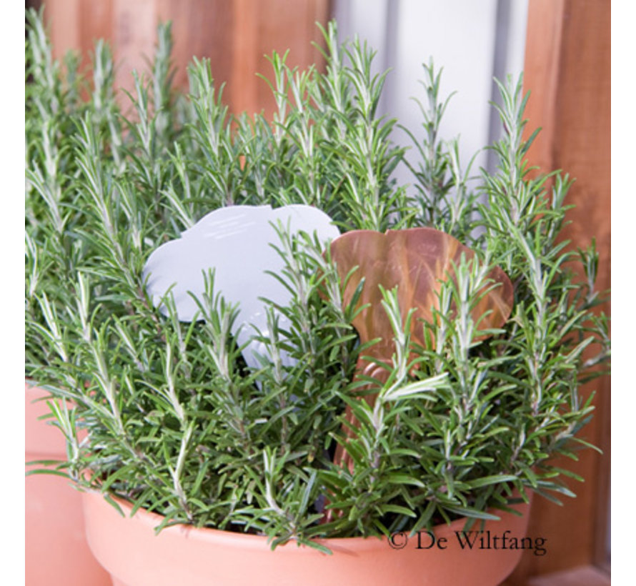 Steeketiket Victoriaans - 20 cm - 5 stuks