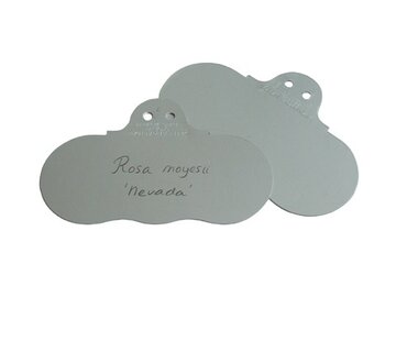 De Wiltfang Hanglabels Victoriaans - 10 stuks