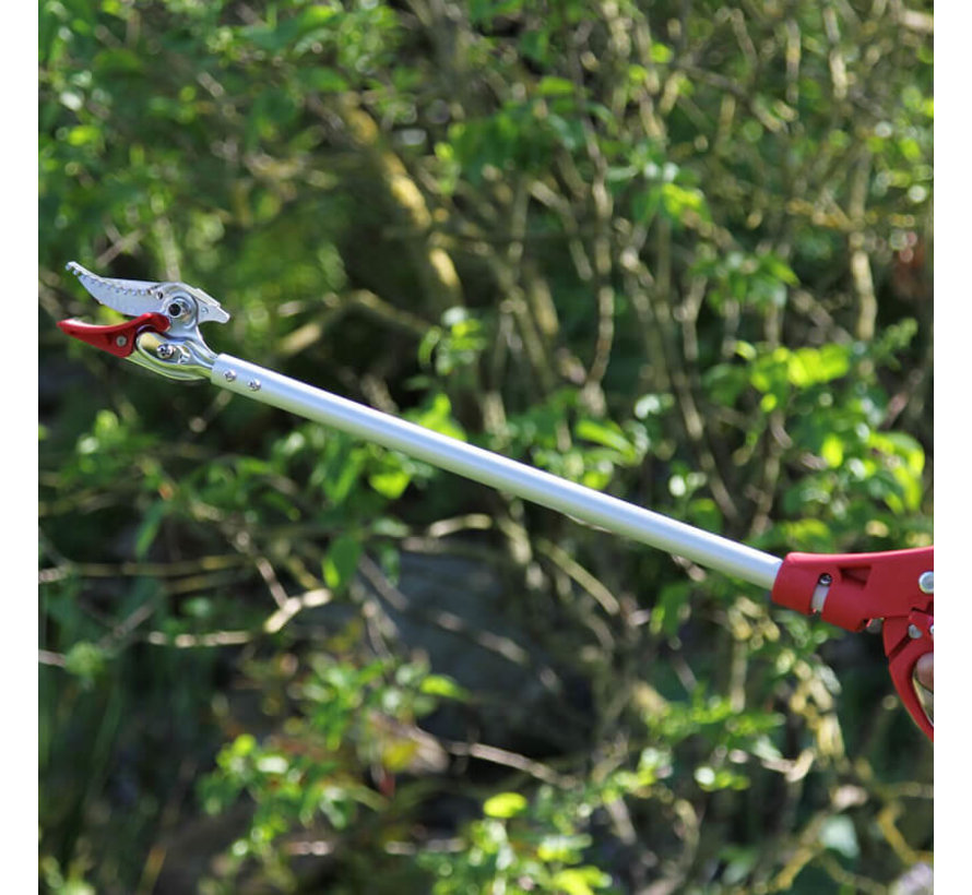 Rozensnoeischaar - 60 cm