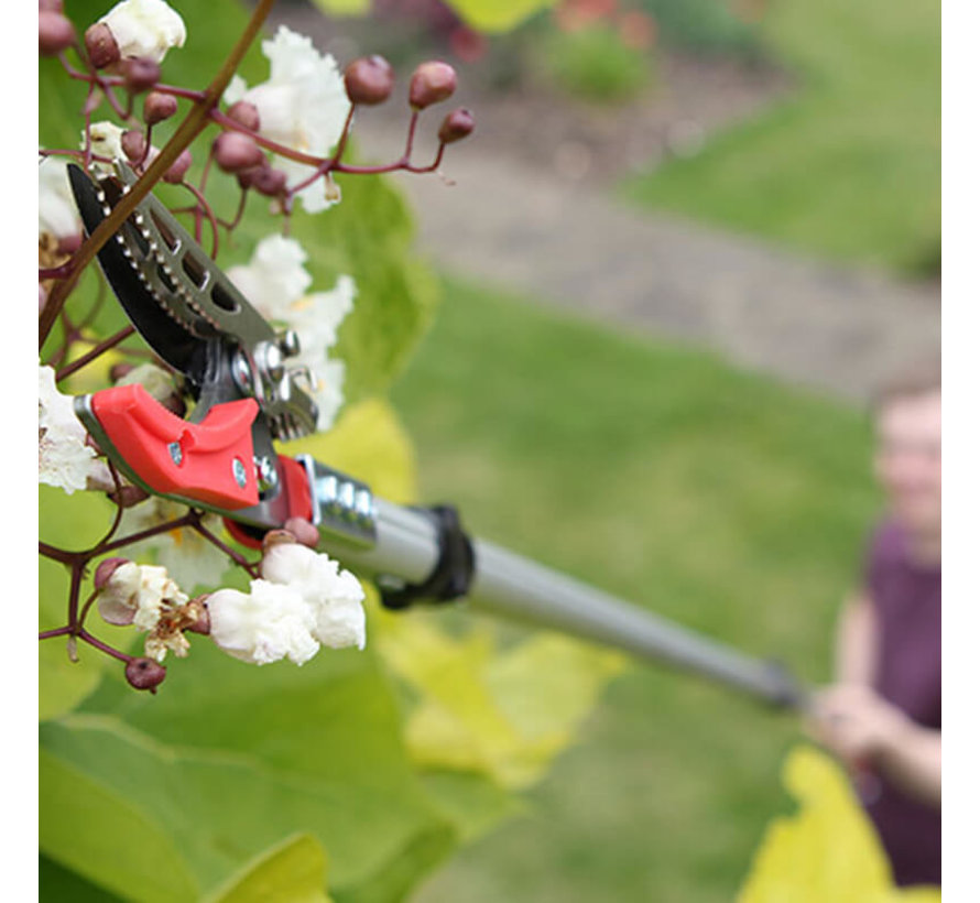 Telescopische plukschaar met zaag - 300 cm