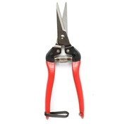 ARS Dunschaar - Recht model