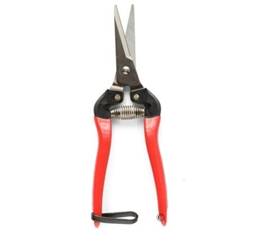 ARS Dunschaar - Recht model