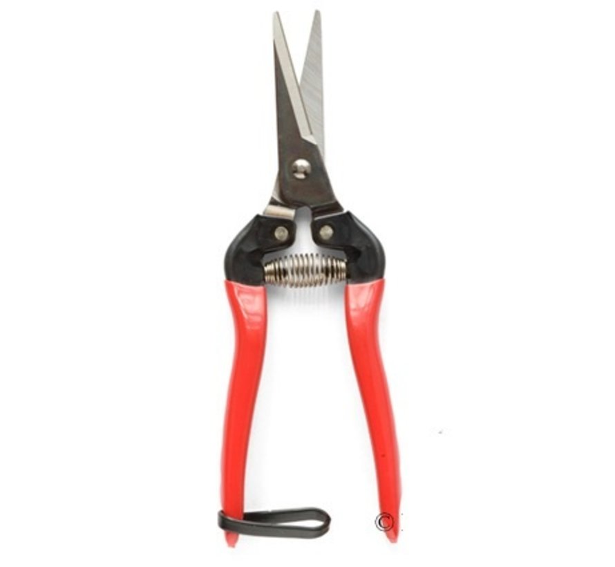 Dunschaar - Recht model